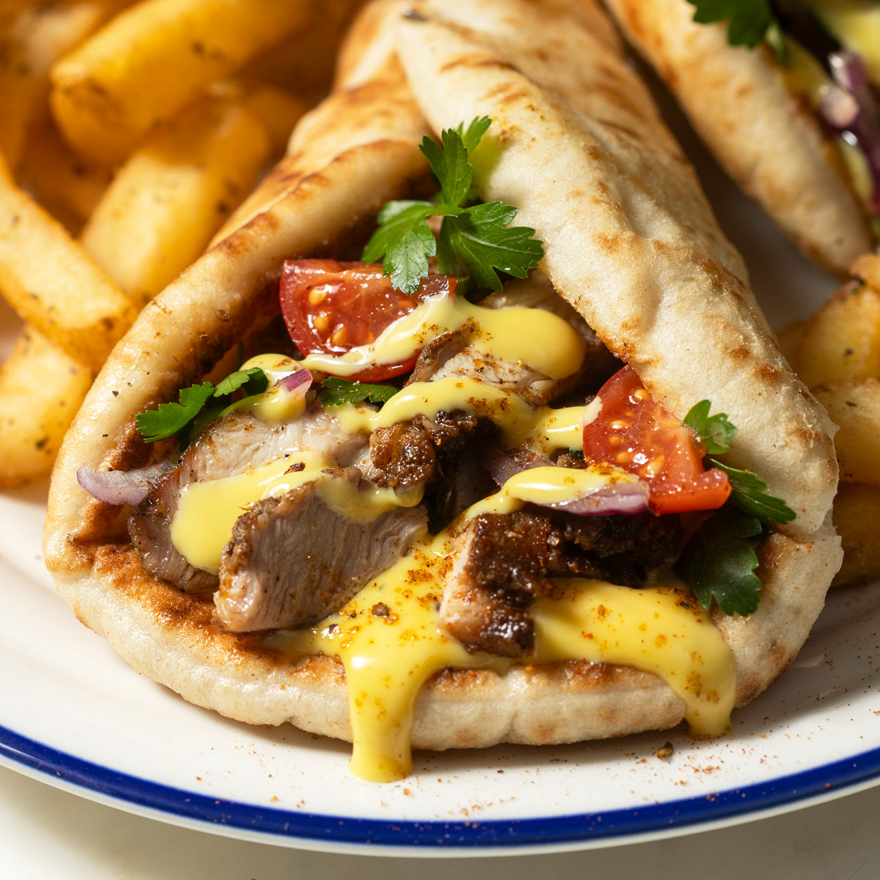 Gyros Kits
